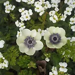 Holiday home Holiday Natura-impressive Views *