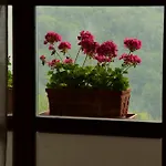 Holiday Natura-impressive Views *