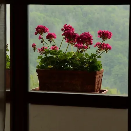 Holiday Natura-impressive Views *