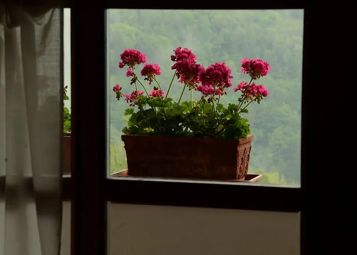 Holiday Natura-impressive Views *